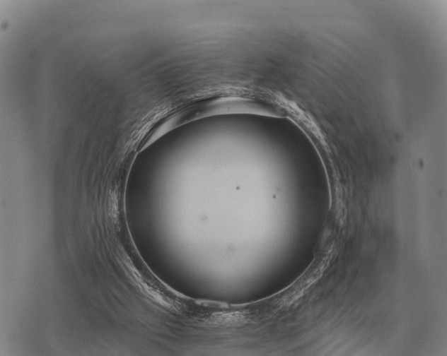 X0000075890057200609221921