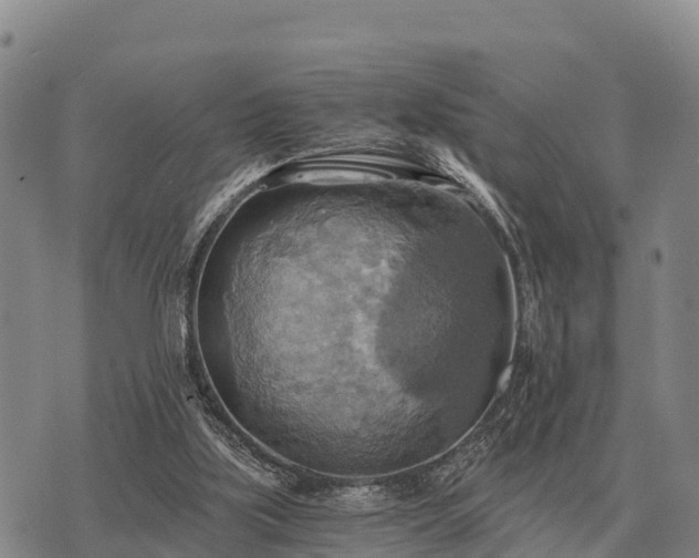 X0000075890059200609221921