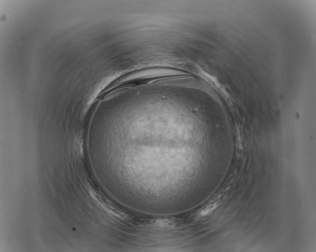 X0000075890060200609221921