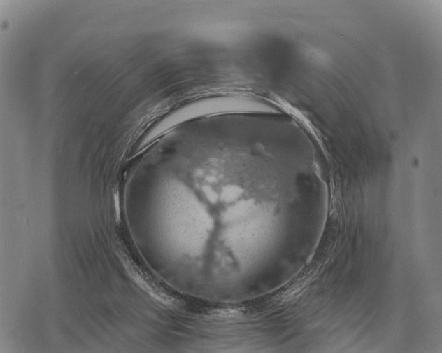 X0000075890061200609221921