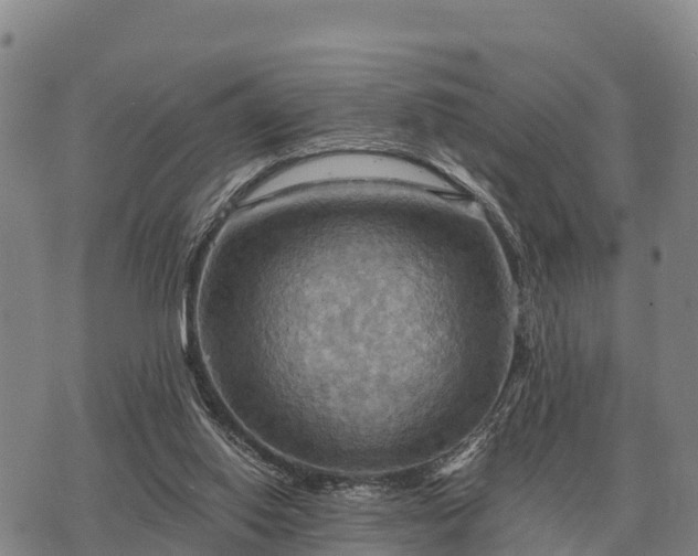 X0000075890062200609221921