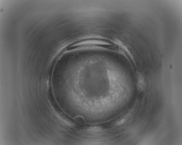 X0000075890063200609221921