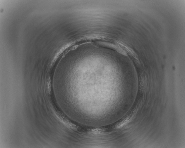 X0000075890064200609221921