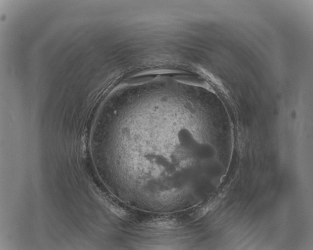 X0000075890065200609221921