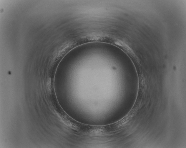 X0000075890066200609221921