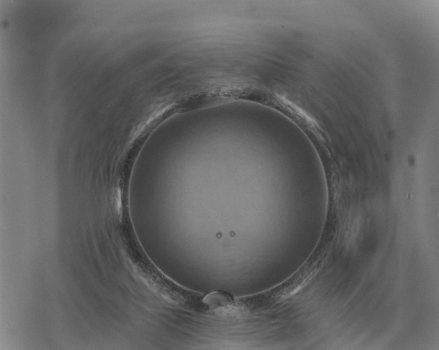 X0000075890067200609221921