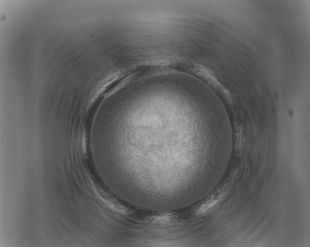 X0000075890068200609221921