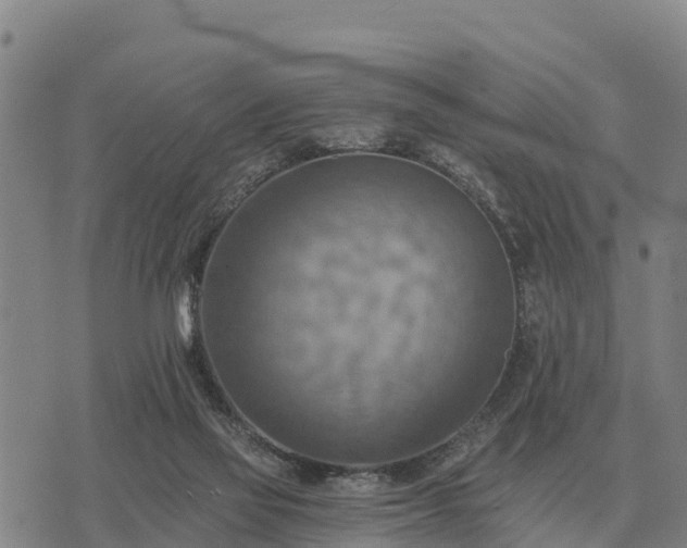 X0000075890069200609221921