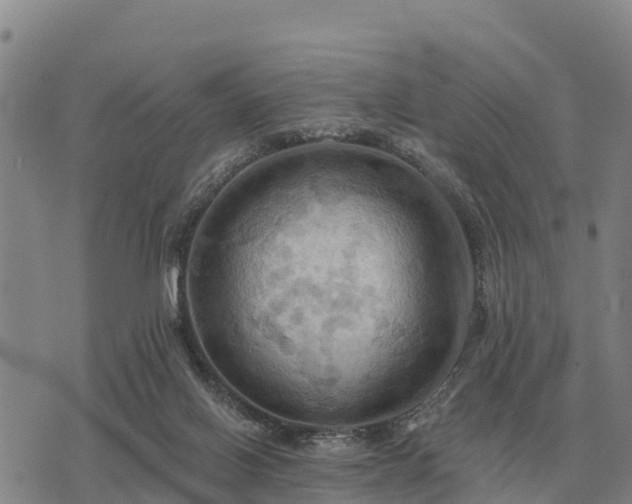 X0000075890070200609221921