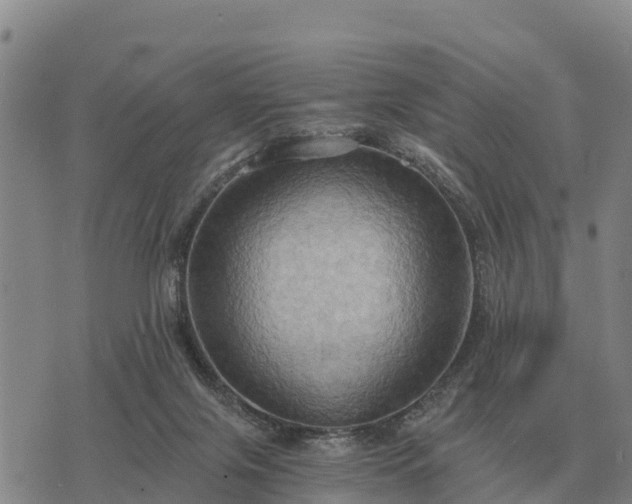 X0000075890071200609221922