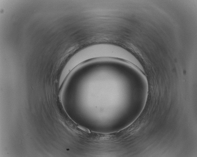 X0000075890072200609221922