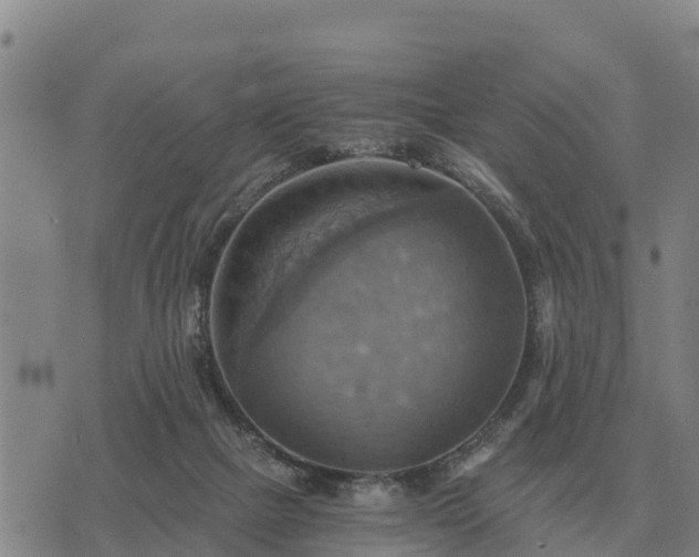 X0000075890073200609221922