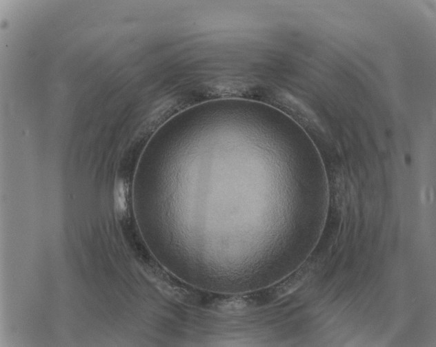 X0000075890075200609221922