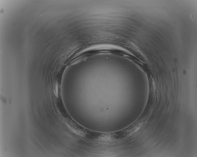 X0000075890076200609221922