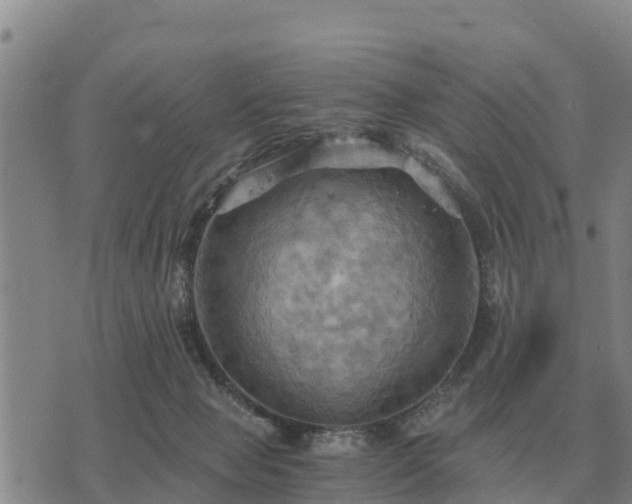 X0000075890077200609221922