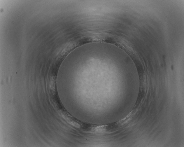 X0000075890078200609221922