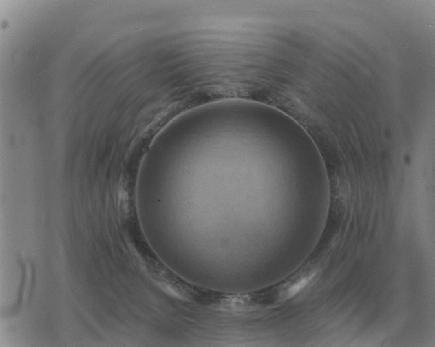 X0000075890080200609221922