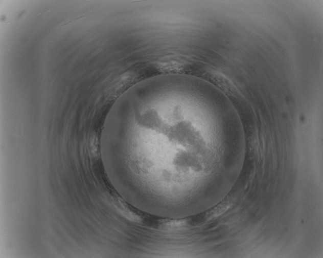 X0000075890081200609221922