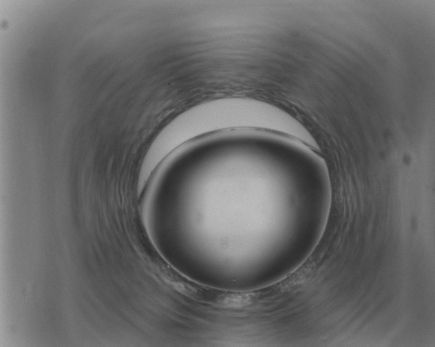 X0000075890084200609221922