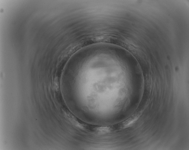 X0000075890085200609221922