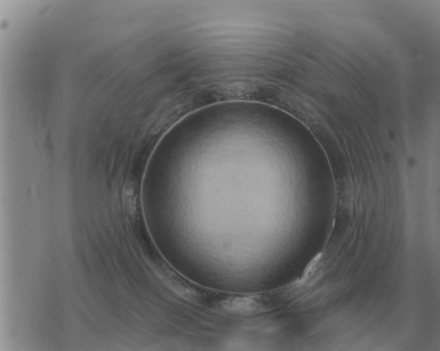 X0000075890086200609221922