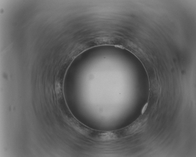 X0000075890087200609221922