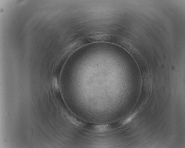 X0000075890089200609221922