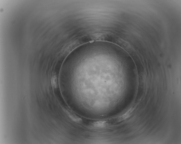 X0000075890090200609221922