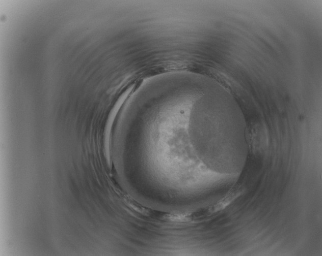 X0000075890093200609221922