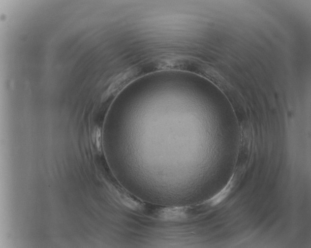 X0000075890094200609221922