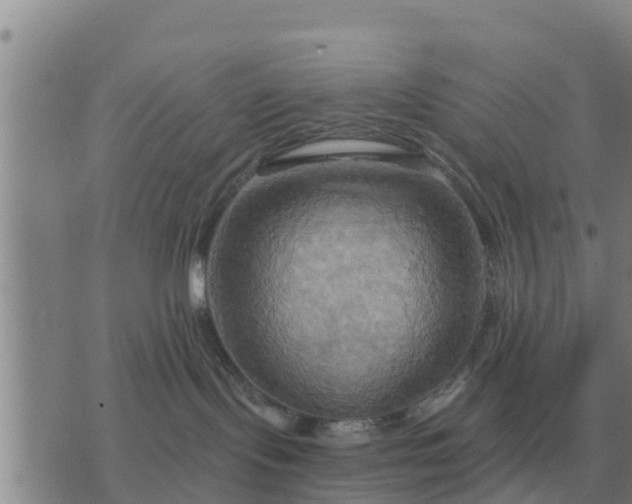 X0000075890095200609221922