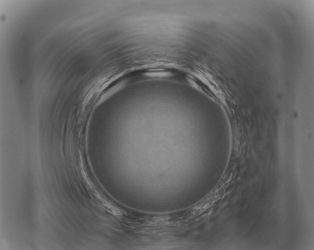 X0000075890097200609221921