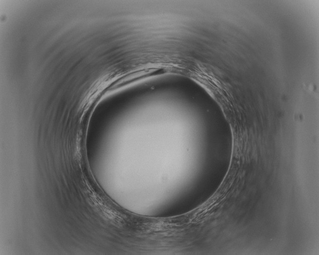 X0000075890098200609221921