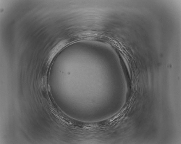 X0000075890099200609221921