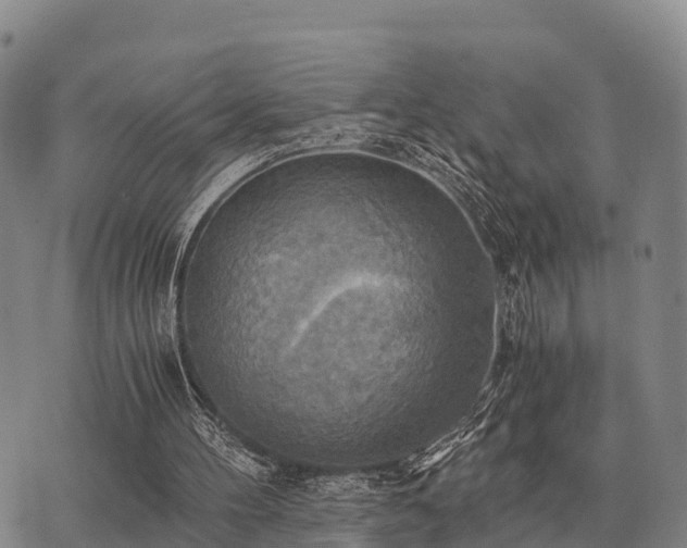 X0000075890100200609221921