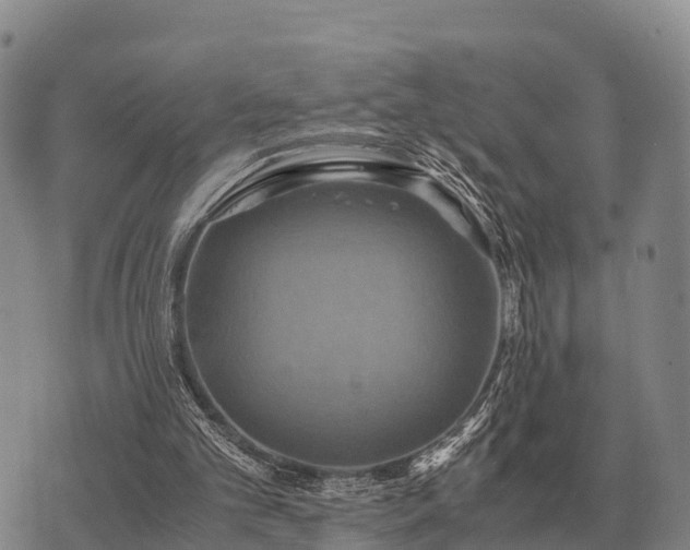 X0000075890101200609221921