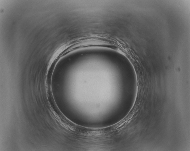 X0000075890102200609221921