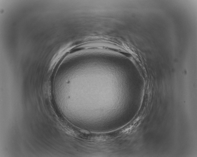 X0000075890103200609221921