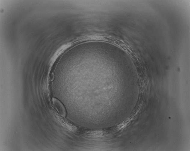 X0000075890104200609221921