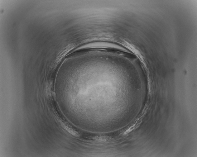 X0000075890105200609221921