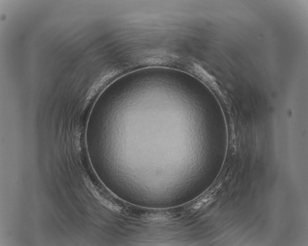 X0000075890106200609221921