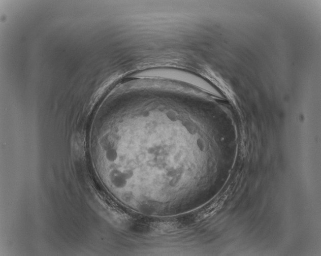 X0000075890107200609221921