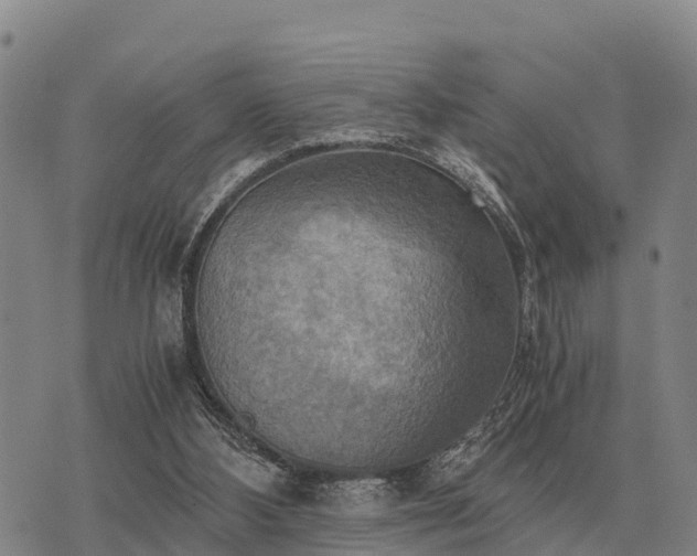 X0000075890108200609221921