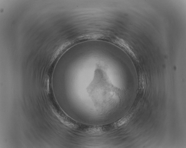 X0000075890110200609221921