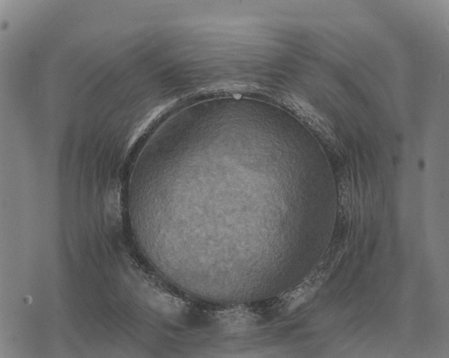 X0000075890112200609221921