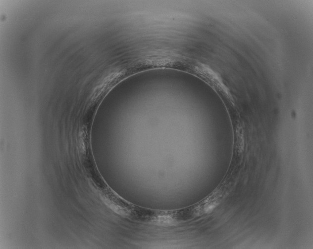 X0000075890114200609221921