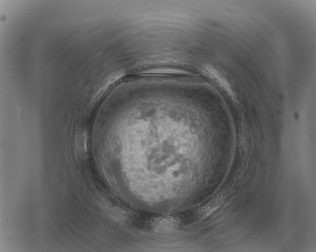 X0000075890115200609221921