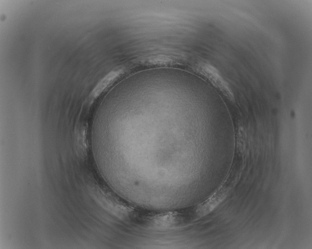 X0000075890116200609221921