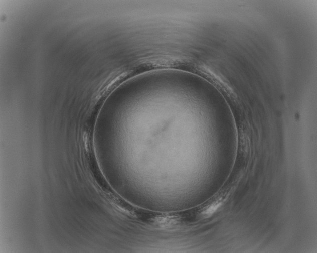 X0000075890117200609221921