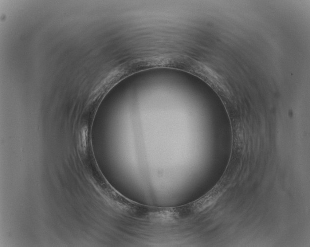 X0000075890118200609221921